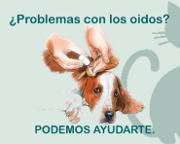 Otitis canina