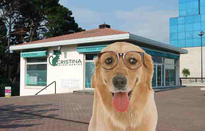 Nuestra clinica Veterinaria en Naron
