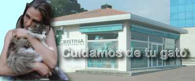 Veterinario en Nar&oacute;n especialista en gatos