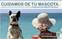 Veterinaros en Ferrol de Mascotas