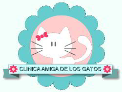 Veterinario en Nar&oacute;n especialista en gatos