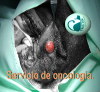 Servicio oncologia