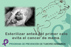 Esterilizacion y prevención de cancer de mama.