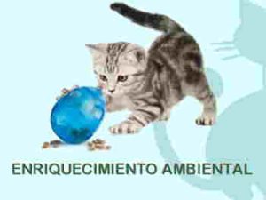 Enriquecimiento ambiental