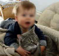 Niño persigue al gato