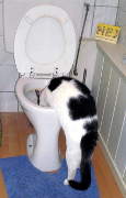Tiene sed a todas horas.