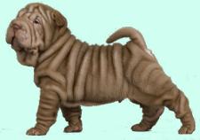 Cachorro de shar pei con exceso de arrugas