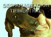 Hay que desparasitar los perros que comen heces.
