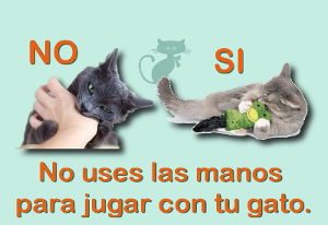Nunca uses las manos para jugar con tu gato