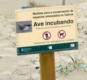cartel ave incubando