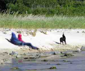perro en la playa