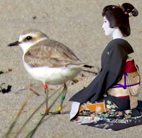 La pillara evoca la imagen de una geisha