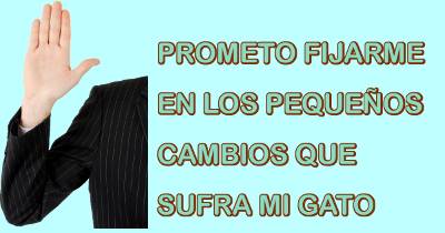 prometo