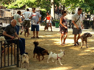 320px Tompkins Square Big Dog Run