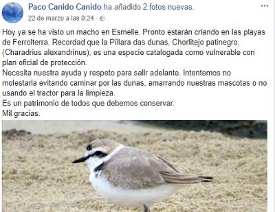 Pillara Paco Canido