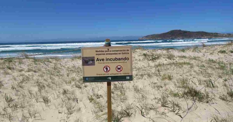 Píllara de las dunas en las playas de Ferrol.