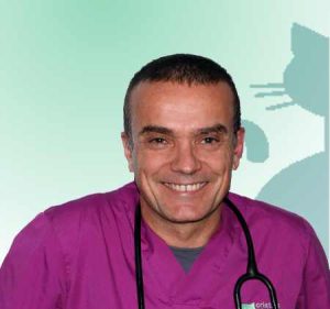 Jose Luis Guerrero Montero