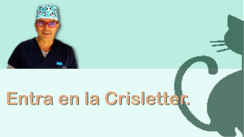 Entra en la newsletter de Cristina Veterinarios, consejos sobre mascotas.