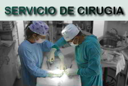 servicio de cirugia