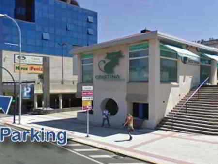 cristina veterinarios